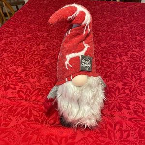 Gnome from home and garden